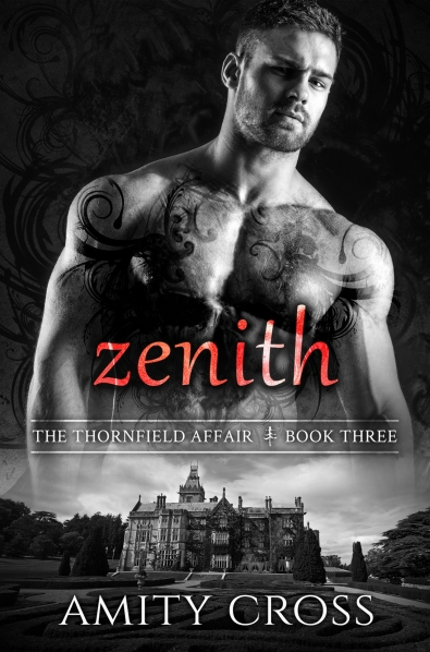 zenith-ebook-cover